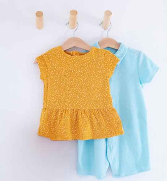 Starlight Succulent Copy